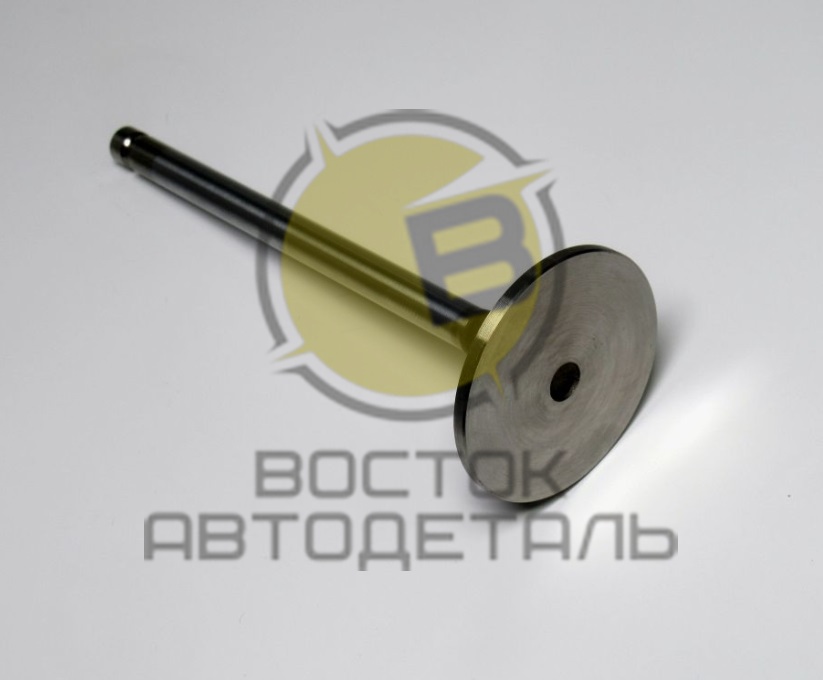Клапан впускной 6CT GAS 3802812, 3927254 C+