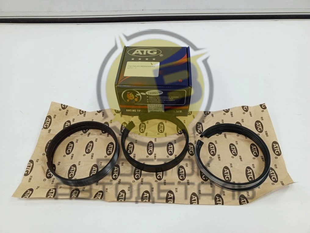 Кольца поршневые ком-т на ДВС Евро 3/4/5 WEICHAI WP10 612600030053 OEM