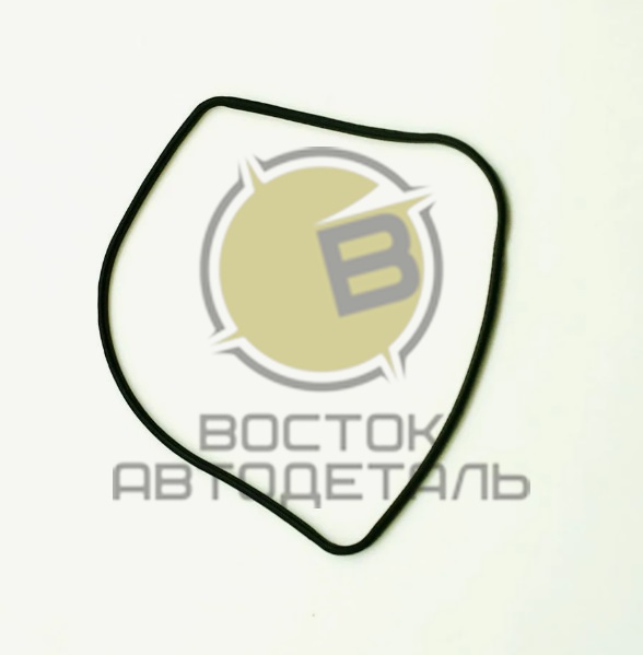Кольцо уплотнительное распредвала ISX 3679931 C+